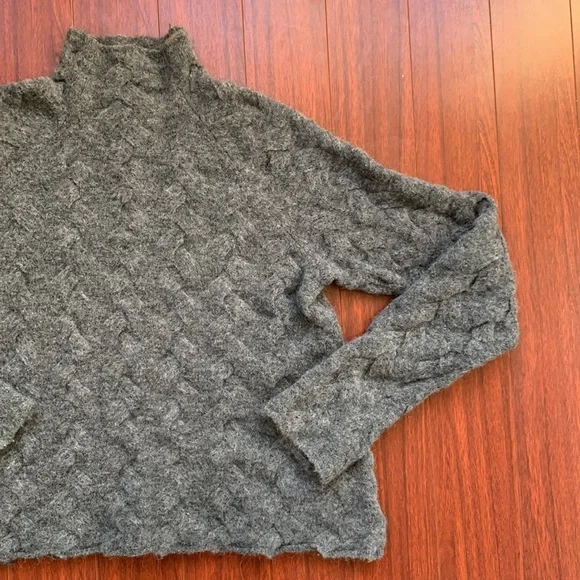 Aritzia Chunky Turtleneck Sweater - Picture 3 of 3
